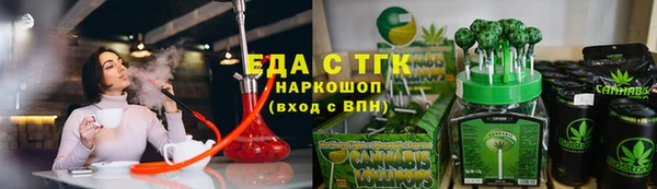 хмурый Гусев