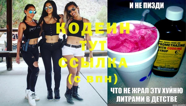 амф Гусь-Хрустальный