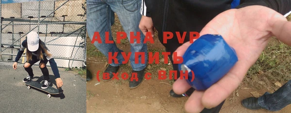 амф Гусь-Хрустальный
