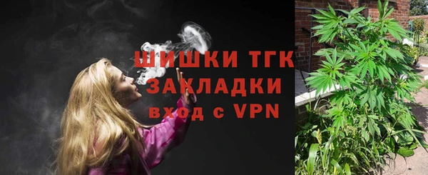хмурый Гусев