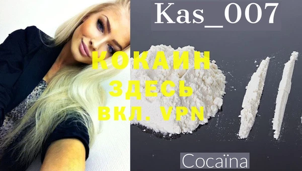 хмурый Гусев