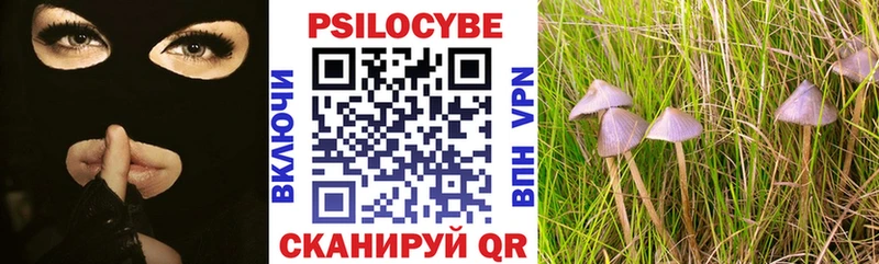 Галлюциногенные грибы Cubensis  Купить  Шилка 